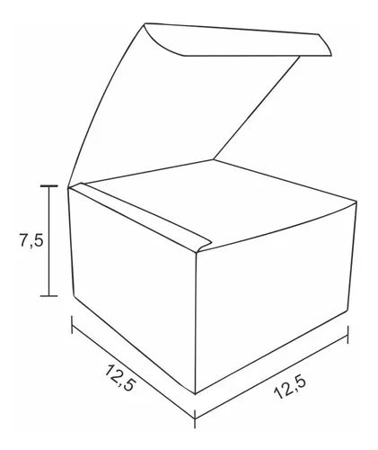 Caixa Box Para Hamburguer Delivery Gourmet Artesanal-100 Und
